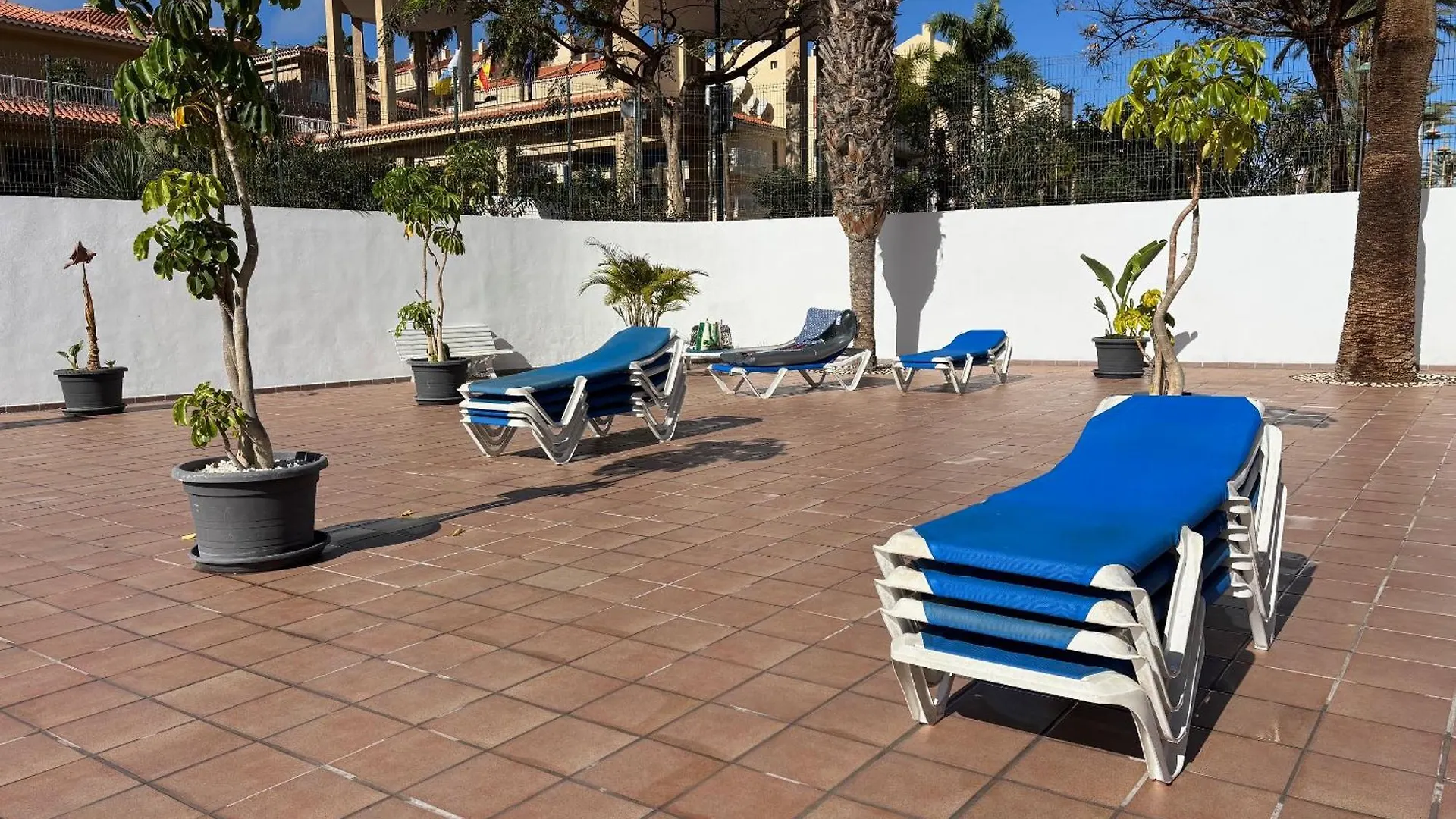 Appartement Estudio Con Mejor Posicion En Playa Las Vistas Arona